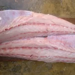 Fillet Cobia