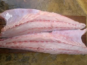 Fillet Cobia