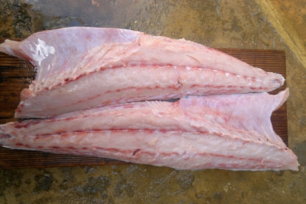 Fillet Cobia